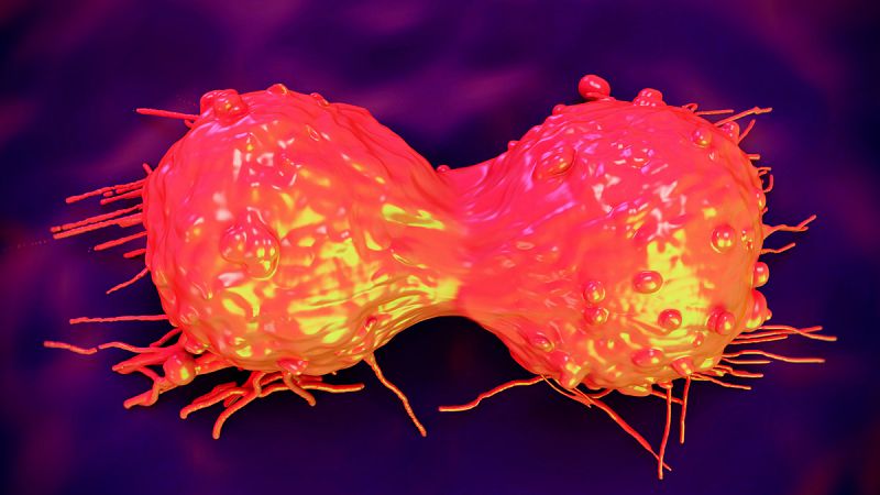 Sanidad aprueba el primer tratamiento biológico para el cáncer de cervix