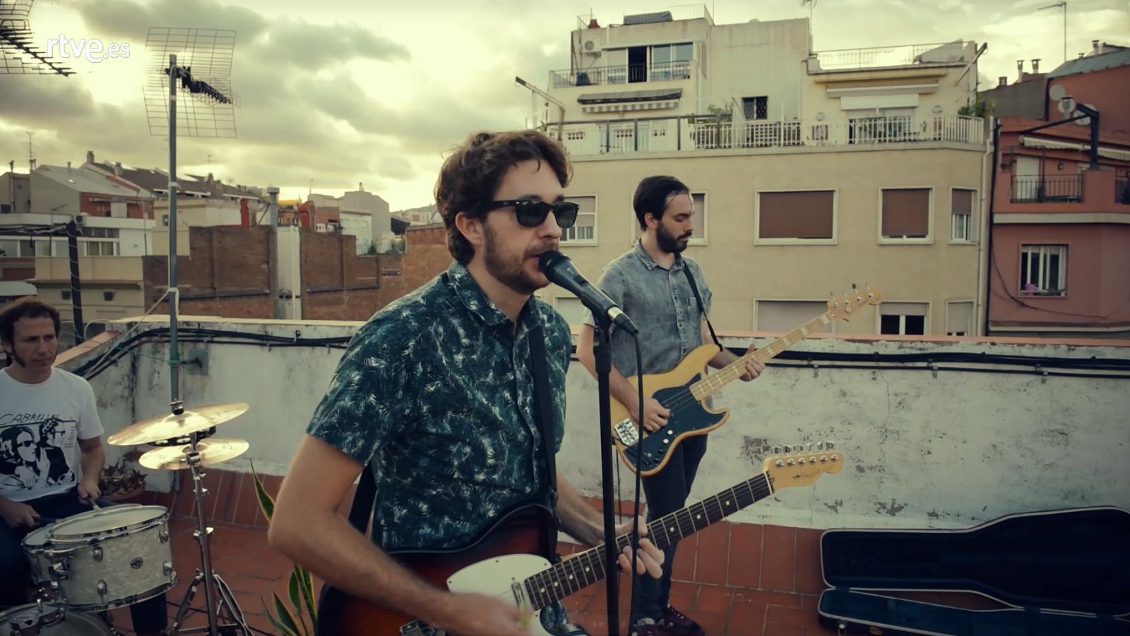 Her Little Donkey - Raise a star