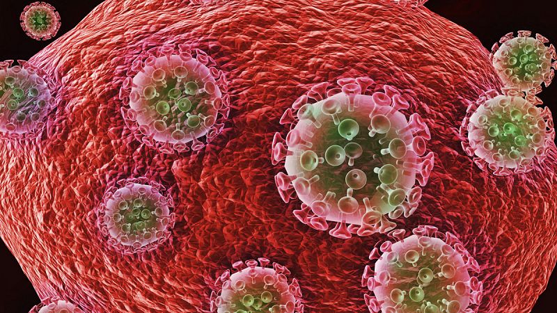 Descubren el posible talón de Aquiles del VIH: la membrana que lo recubre
