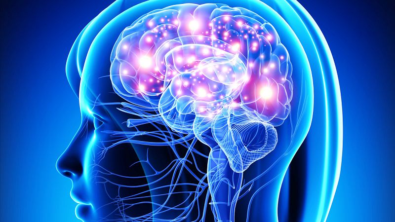 Científicos consiguen rescatar recuerdos olvidados a través de estimulación magnética