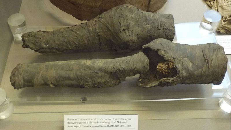 Arqueólogos atribuyen unas piernas momificadas a la reina Nefertari