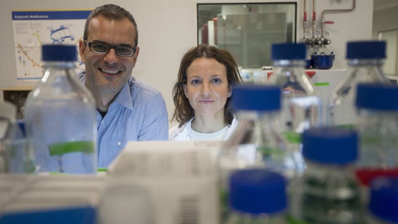 La clave para frenar la metástasis podría estar en la grasa