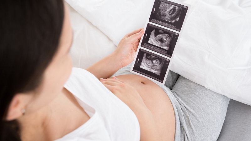 La presencia prolongada del Zika en el suero materno indica la infección del feto
