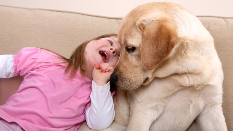 El Hospital Gregorio Marañón utilizará perros en las terapias con niños