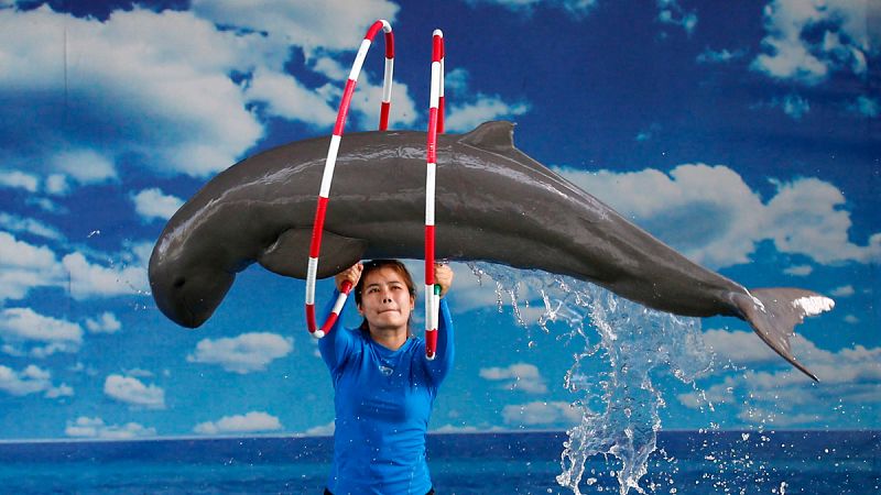 La presión turística pone en peligro a los delfines en Asia
