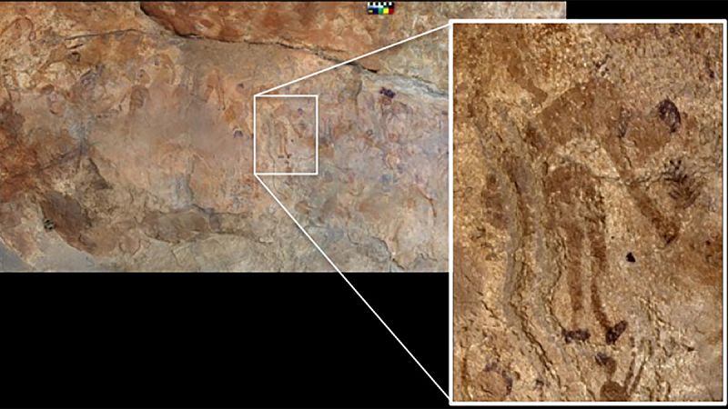 La cocina se inventó hace más de 10.000 años, en el Neolítico