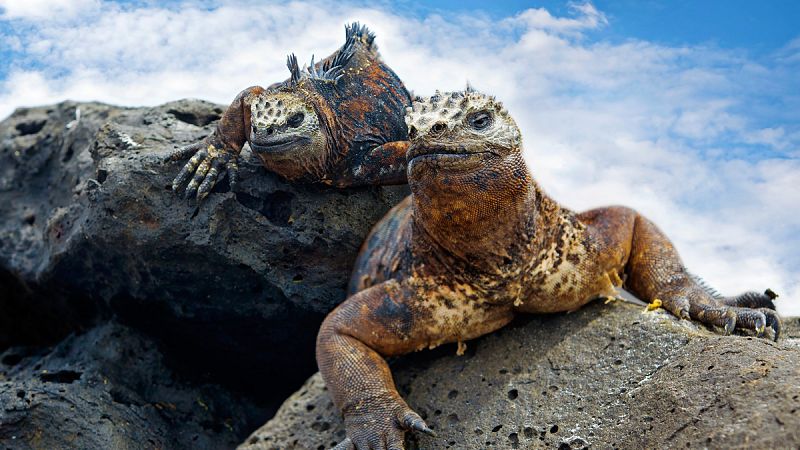 Las islas Galápagos, un tesoro ecológico que tiene 1,6 millones de años