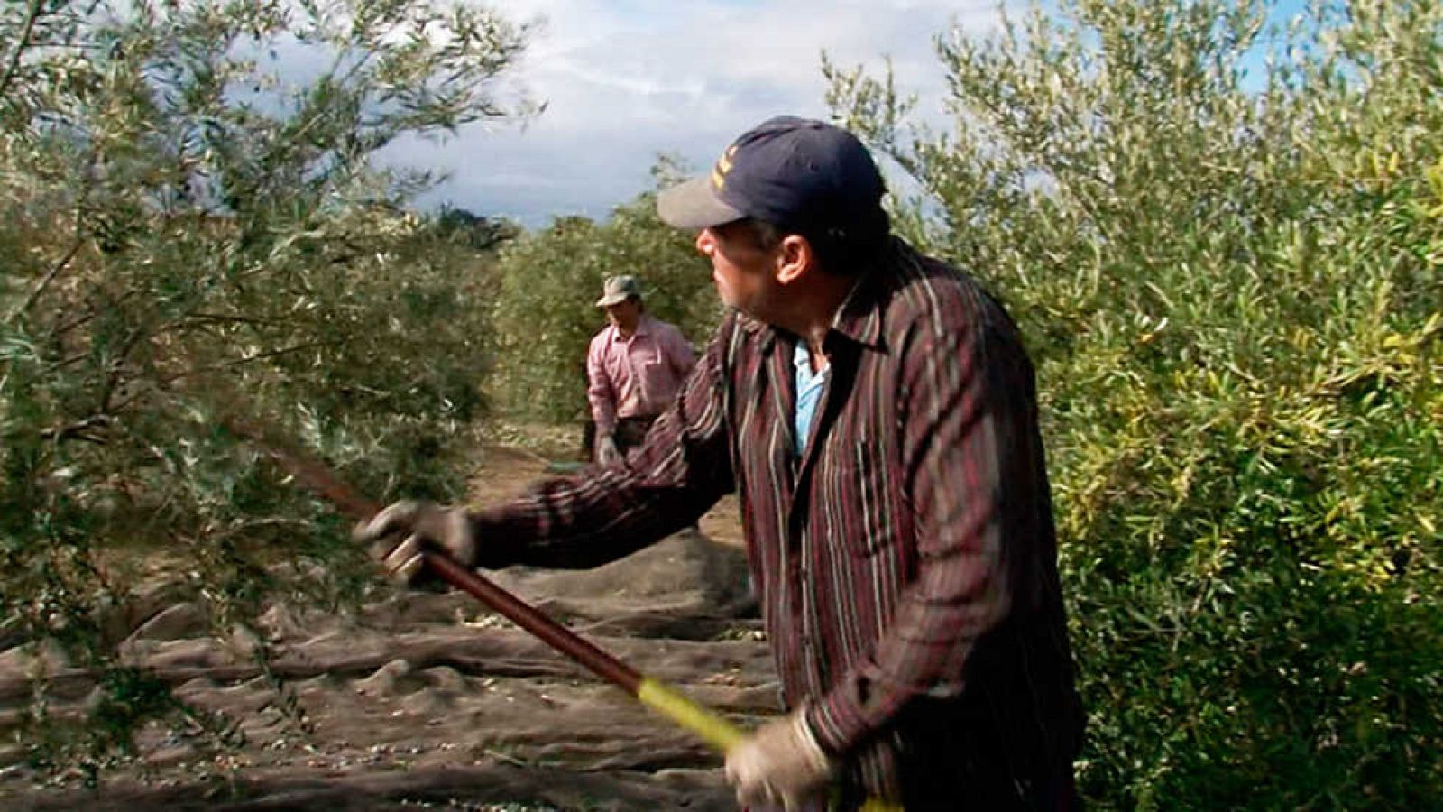 Comando Actualidad - Virgen Extra - ver ahora