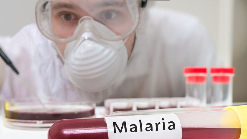 Crean una vacuna experimental contra la malaria basada en parásitos genéticamente manipulados