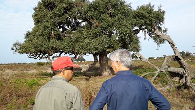 Ecolog�a en Do�ana / Einstein por Espa�a