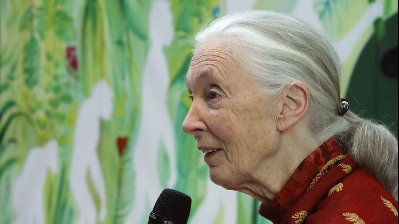 La primatóloga Jane Goodall advierte de que el planeta se encuentra en un momento "peligroso"