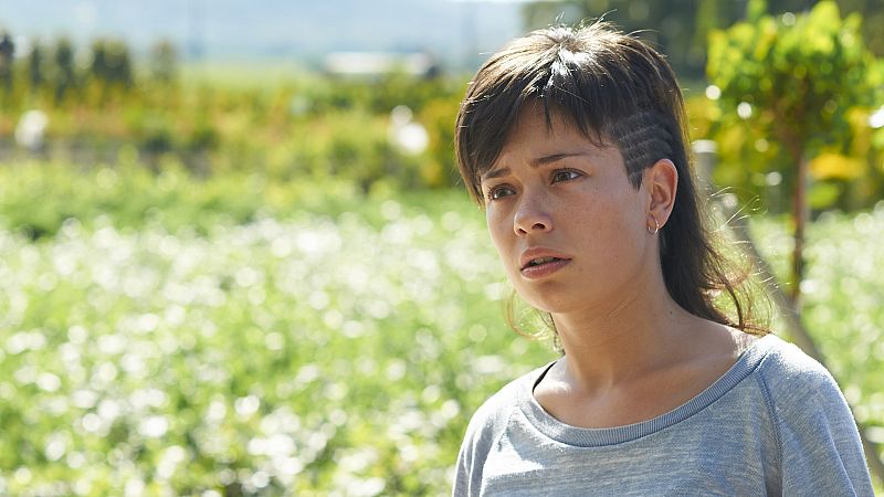 De revelaciones y posibles contradicciones