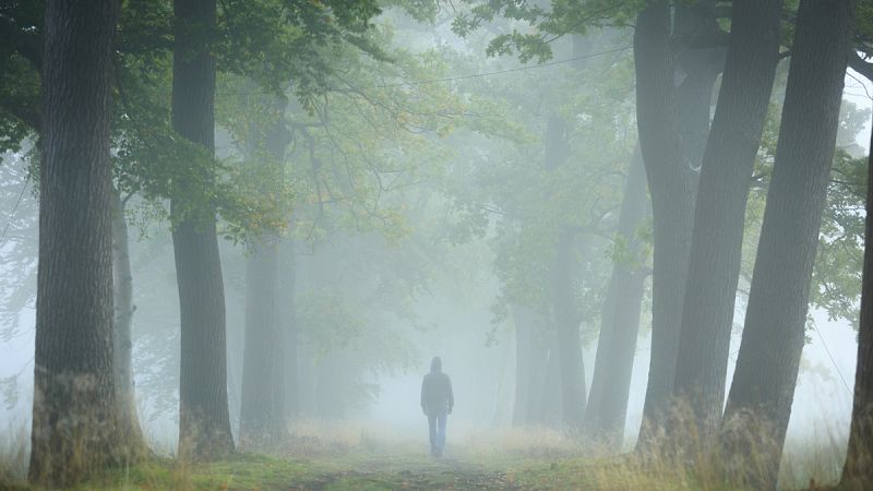 Desarrollan una capa para hacer invisibles objetos en ambientes difusos