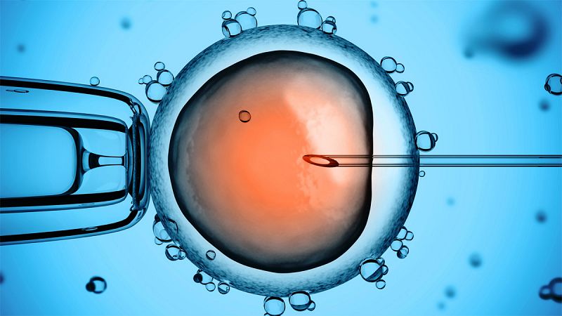 Una clínica ucraniana anuncia el nacimiento de un bebé con ADN de tres personas