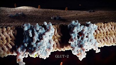 Medicina traslacional, diabetes y cambio clim�tico