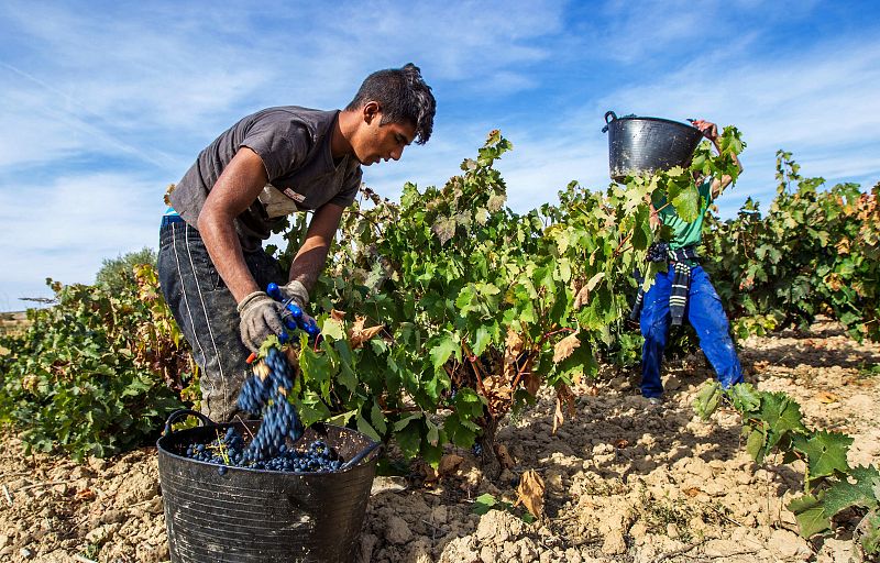 Los menores de 25 años en desempleo a finales de 2016 eran 613.000, un 10,7% menos que en 2015