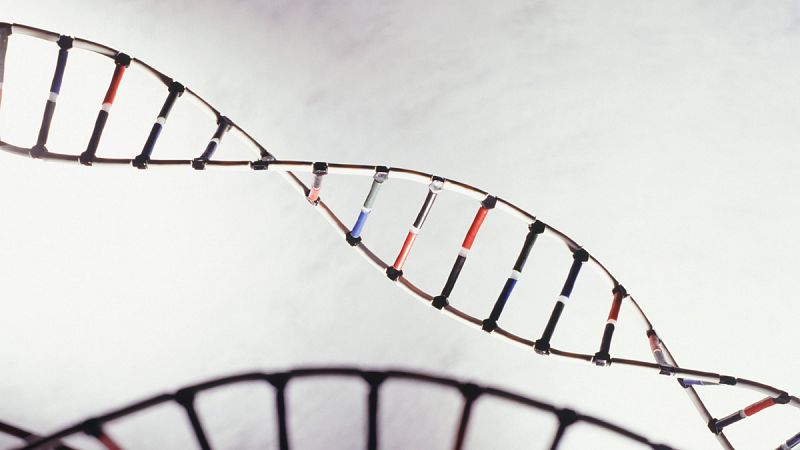 Logran un nuevo avance para el diagnóstico genético en las familias con cáncer hereditario