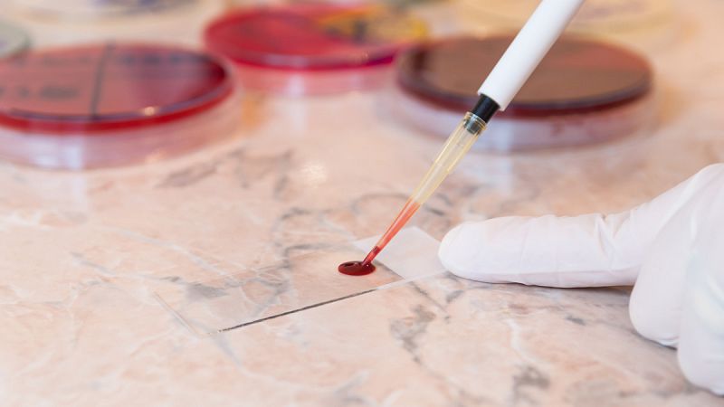 Una superbacteria de la malaria pone en riesgo el control de la enfermedad