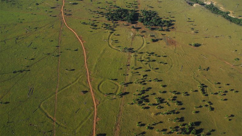 La deforestación amazónica deja al descubierto cientos de geoglifos milenarios