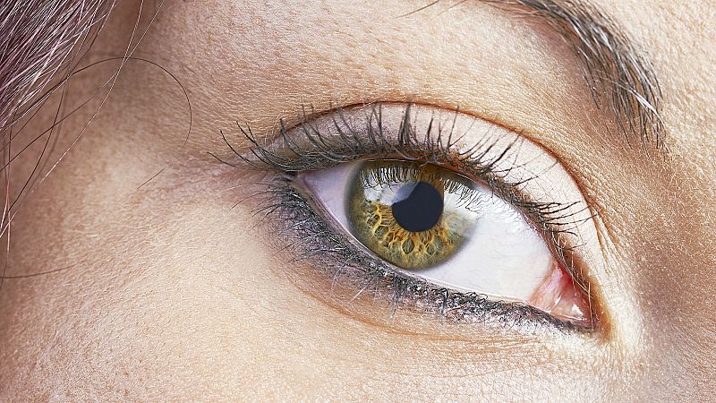 2017, año de la retina en España