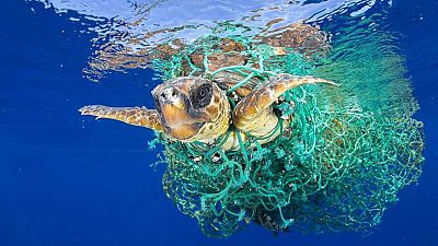 Las mañanas de RNE - Francis Pérez, Premio World Press Photo, sobre su imagen de la tortuga: "Es un flechazo directo a la conciencia" - Escuchar ahora