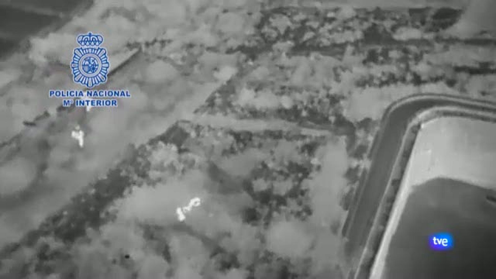 Operación peleas de perros