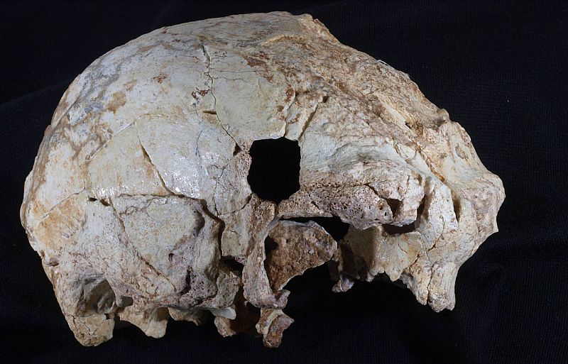 El cráneo de Aroeira, la versión portuguesa del hombre de Atapuerca