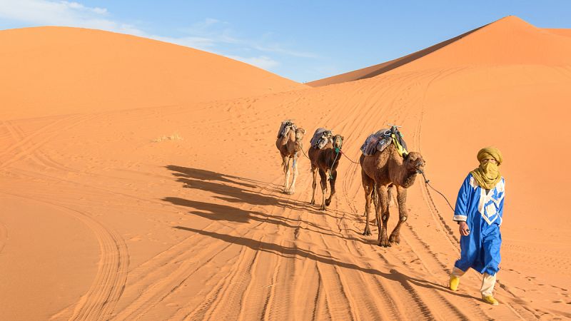Los pastores podrían haber participado activamente en la creación del desierto del Sáhara