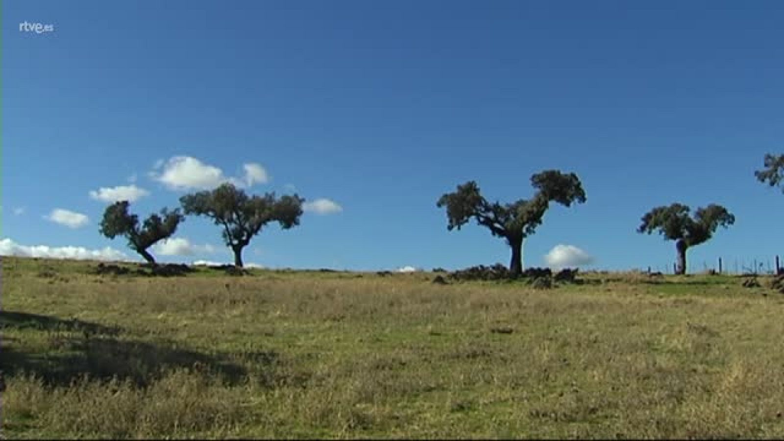DATOS DEFINITIVOS DEL CAMPO