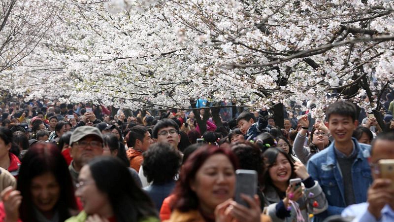 La OCDE pide a China que aborde "urgentemente" su problema de deuda y le recomienda despolitizar empresas