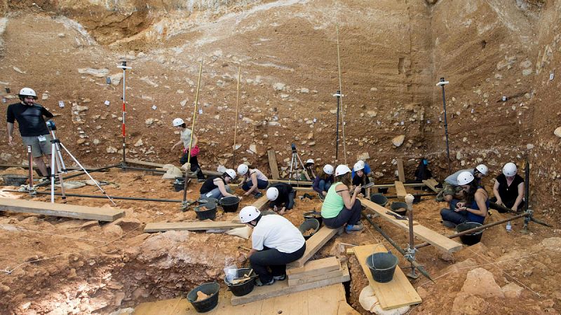 El hombre de Atapuerca ya se organizaba en grupos para cazar bisontes