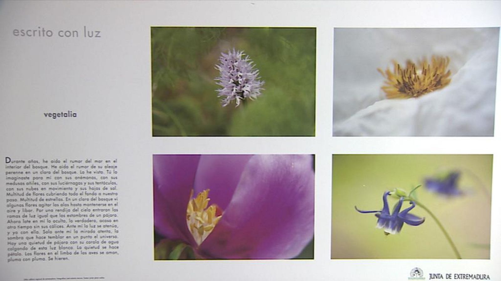 LIBRO ESCRITO CON LUZ