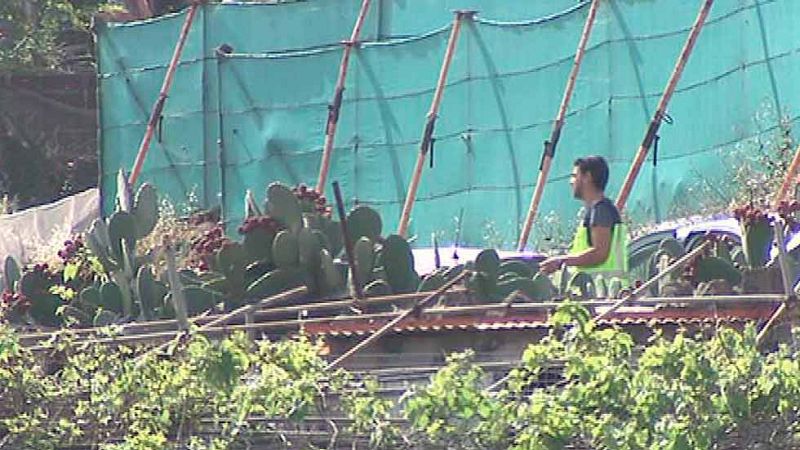 Un hombre se entrega a la Policía tras matar a su pareja en Telde, Gran Ganaria