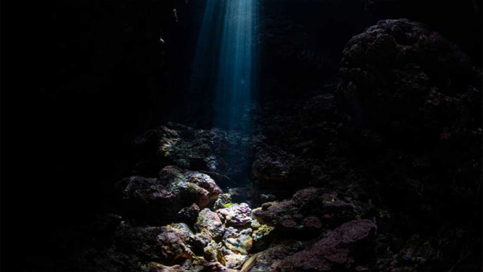 A casi 500 kilómetros de la costa de El Hierro, investigadores españoles y británicos han encontrado el que puede ser el mayor yacimiento de Telurio del mundo. Un metal escaso y muy cotizado, necesario para fabricar, por ejemplo, placas solares. El y