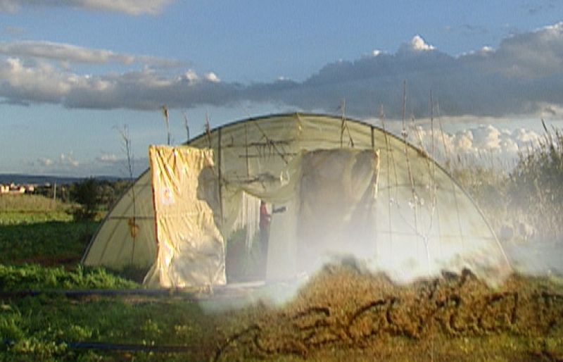 Argelia, cosechando esperanzas