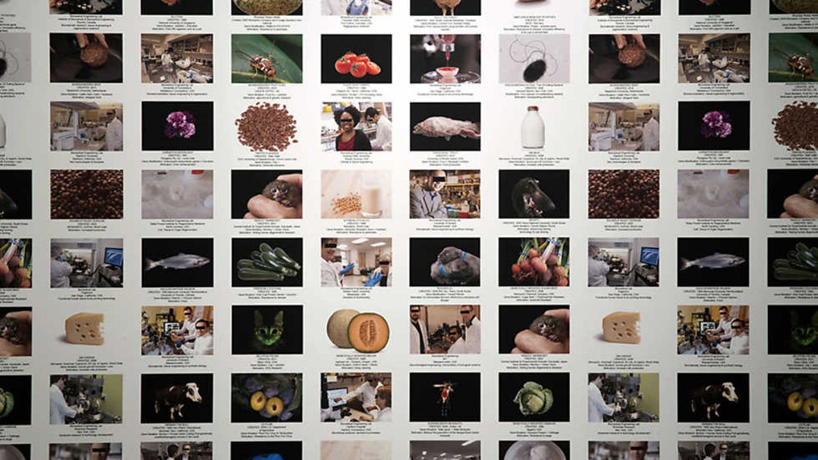 Metrópolis - Los monstruos de la máquina - ver ahora