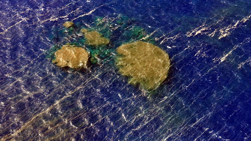 La erupción del volcán submarino de El Hierro de 2011 albergó una nueva especie de bacteria