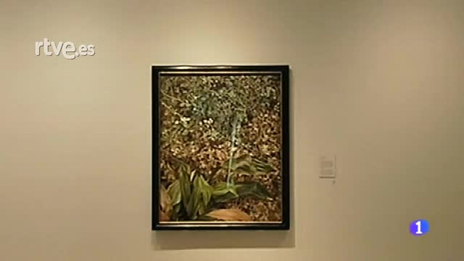 Nueva exposición en el Museo Picasso | Ver