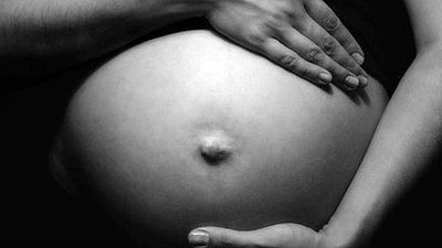 Memoria de delfín - Palabra de madre - 01/05/17 - escuchar ahora