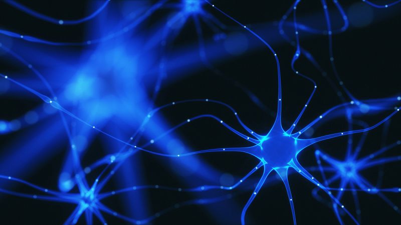 Científicos logran generar neuronas afectadas por procesos neurodegenerativos