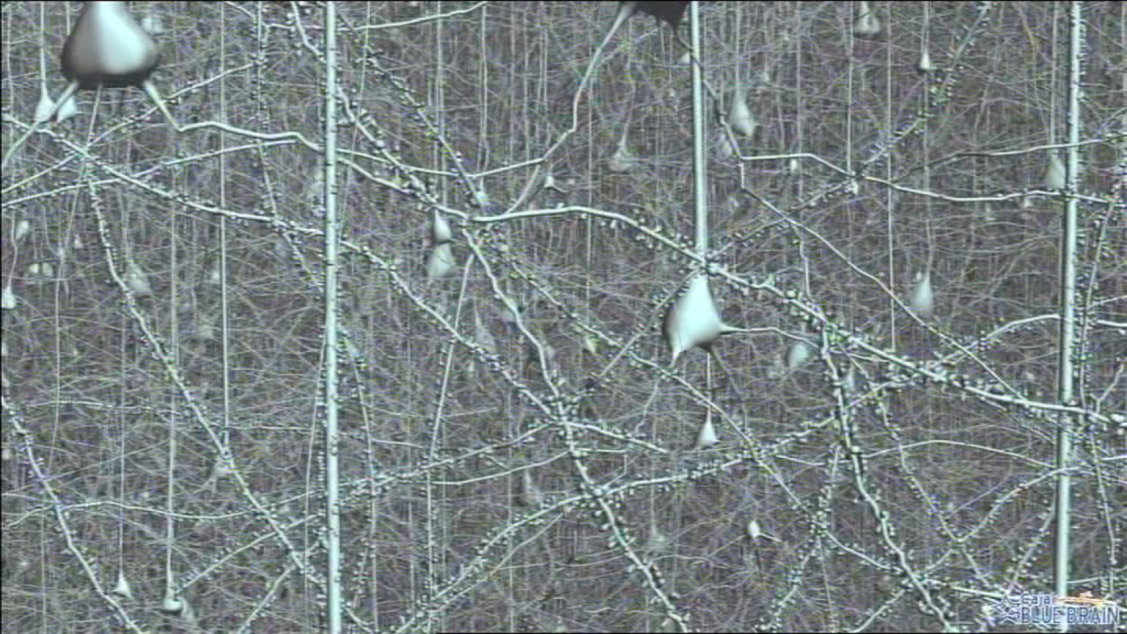 Lab24 - Frenar el párkinson y ciudades inteligentes - Avance