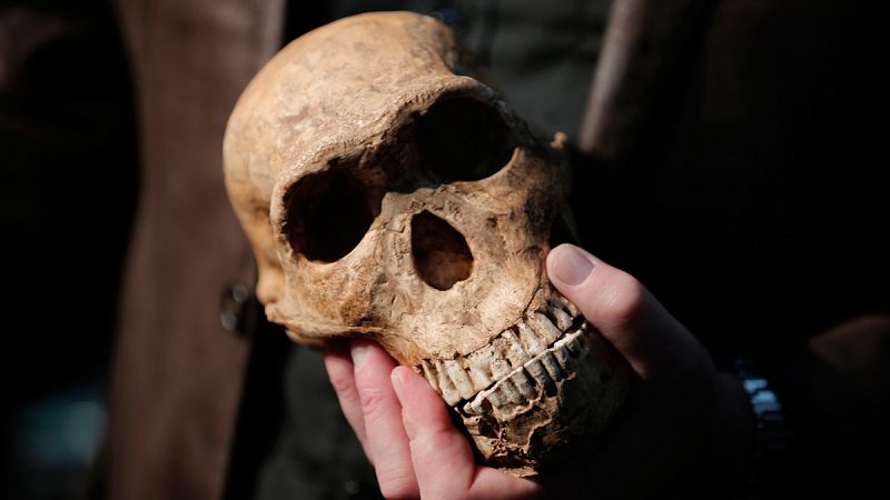 El Homo naledi convivió con el sapiens hace 300.000 años en el sur de África