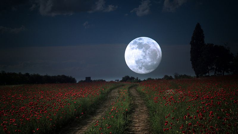 La Luna llena 'de las flores' podrá verse este miércoles
