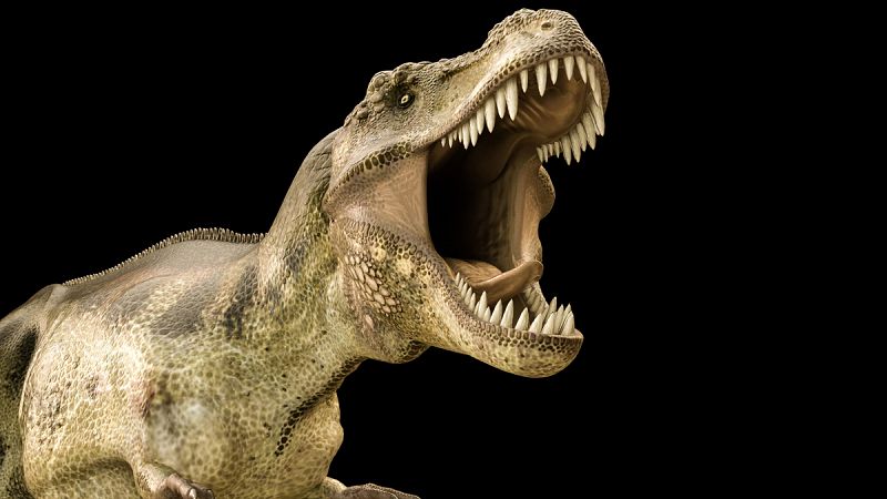 El  'Tyrannosaurus Rex' ejercía una fuerza con sus fauces equivalente al peso de tres automóviles