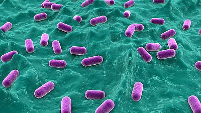 Onda Universitas - ¿Hay un órgano invisible en nuestro cuerpo? - 25/05/17 - Escuchar ahora