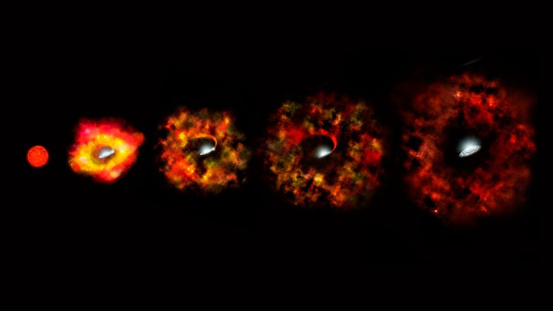 Testigos de cómo una estrella colapsa y se convierte en agujero negro