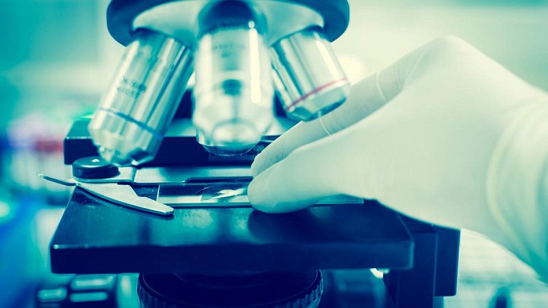 Usan bacterias como factorías para producir fármacos contra el cáncer