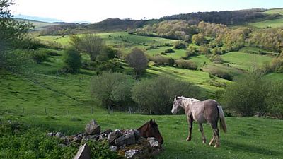 Reportajes en R5 - Estepas de la Mancha, 25º aniversario de Red Natura - 06/06/17 - Escuchar ahora