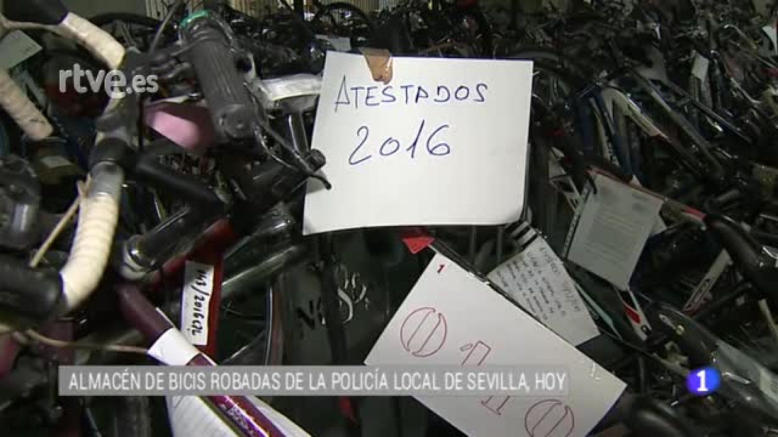 La policía local de Sevilla expone bicicletas robadas a la espera de que aparezcan sus propietarios | Ver