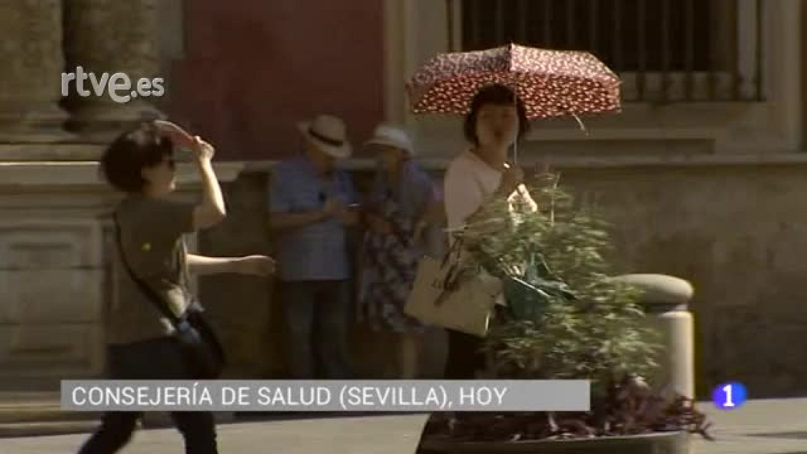 Se activa el Plan de Altas Temperaturas | Ver